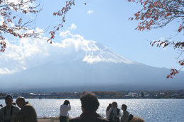 河口湖からの富士山は絶景ですね