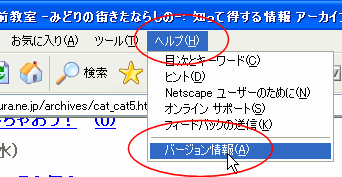 Internet Explorer̃o[WmF